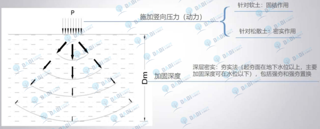 2024十二生肖49码表